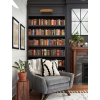 Bookshelves - 室内 - 