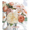 Bouquet - Pflanzen - 