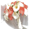 Bouquet - Plantas - 