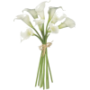 Bouquet - 植物 - 