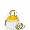 Braccilinia Daisy Handbag - Hand bag - 