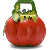 Braciallini tomato bag - ハンドバッグ - 
