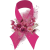 Breast cancer - Rascunhos - 