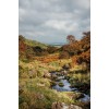 Brecon Beacons, Wales, UK - Nature - 