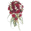 Bridal bouquet - Biljke - 