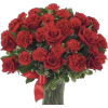 Bridal bouquet - Rastline - 