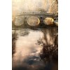 Bridge - Natur - 