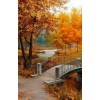 Bridge in Fall - Otros - 