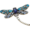 Brooch dragonfly - Illustrations - 
