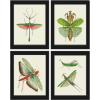 Bug Art - Иллюстрации - 
