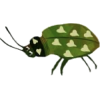 Bug - Illustrations - 