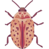Bug - Illustraciones - 