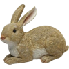 Bunny - Animales - 
