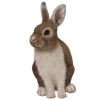 Bunny - 動物 - 