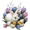 Bunny - Illustrazioni - 