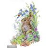 Bunny - Illustrations - 
