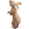 Bunny - Ilustracje - 