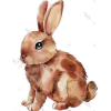 Bunny - Иллюстрации - 