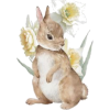 Bunny - Illustrations - 