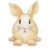 Bunny - Ilustracje - 