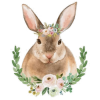 Bunny - Ilustrationen - 