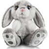 Bunny - Items - 