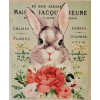 Bunny art - 插图 - 