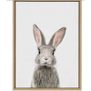 Bunny art - Ilustracije - 