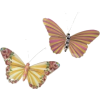 Butterflies - イラスト - 