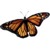 Butterflies - Ilustrationen - 