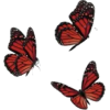 Butterflies - Rascunhos - 