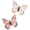 Butterflies - Illustraciones - 