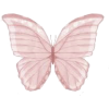 Butterflies - Illustrazioni - 