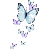 Butterflies - イラスト - 