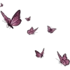 Butterflies - Natura - 