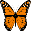 Butterflies - Natura - 