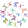 Butterflies - Uncategorized - 