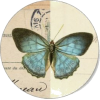 Butterfly  Circle - Items - 