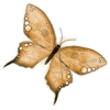 Butterfly - Animals - 