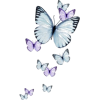 Butterfly - Животные - 