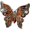 Butterfly - Tiere - 