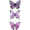 Butterfly - Illustraciones - 