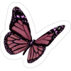 Butterfly - Ilustracje - 