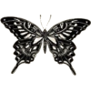 Butterfly - Ilustracje - 