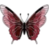 Butterfly - Illustrazioni - 