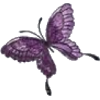 Butterfly - イラスト - 