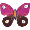 Butterfly - Ilustrationen - 