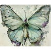 Butterfly - Иллюстрации - 