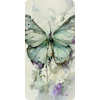 Butterfly - Иллюстрации - 