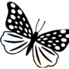 Butterfly’ - Illustraciones - 